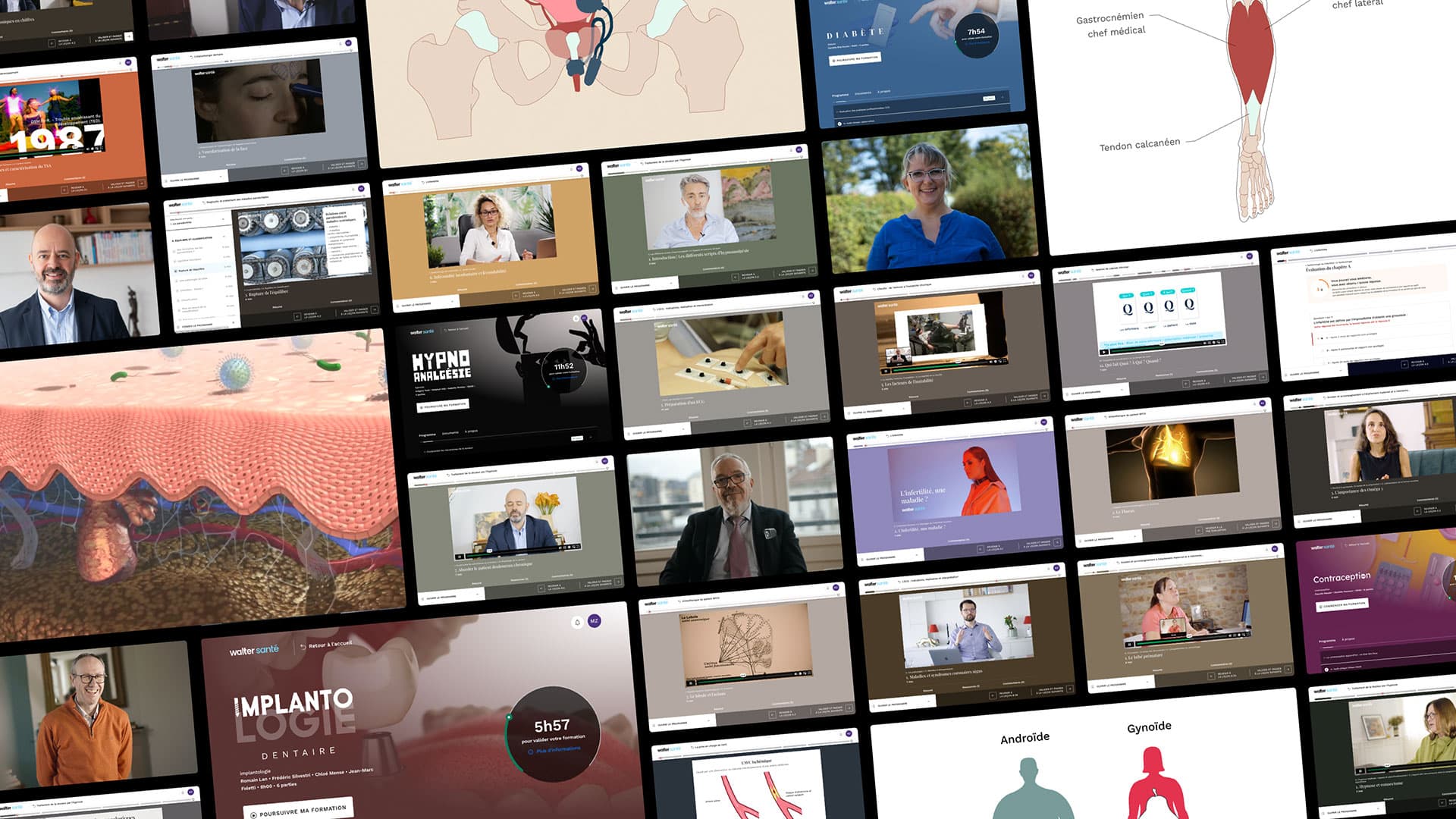 Illustration du catalogue de Walter Learning
