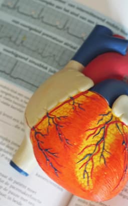 ECG - ecg_fc